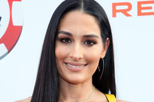 Nikki Bella apologizes for previous comments on late wrestler Chyna