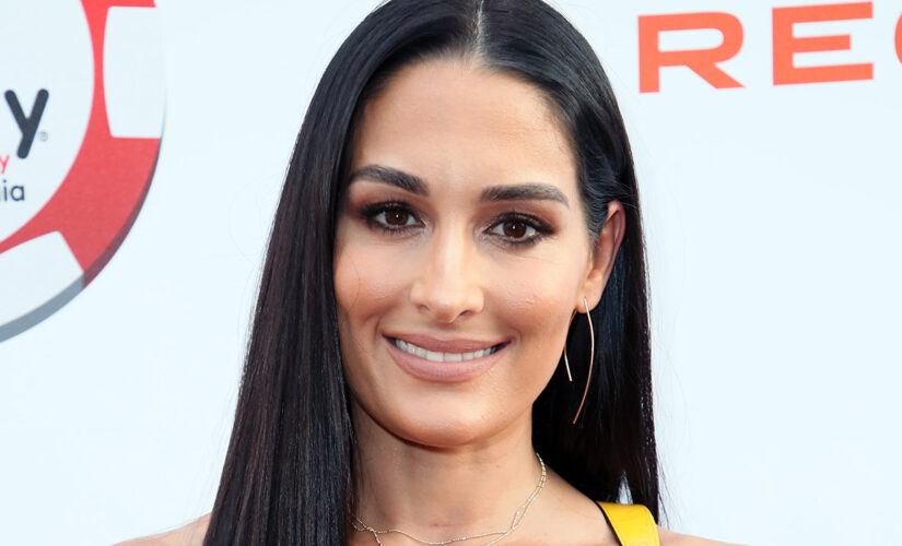 Nikki Bella apologizes for previous comments on late wrestler Chyna