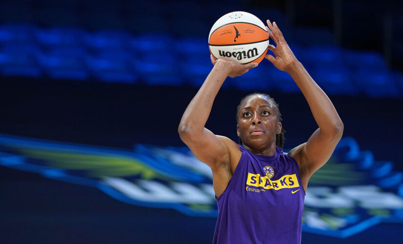 WNBA star Nneka Ogwumike’s Olympic snub draws fierce rebuke