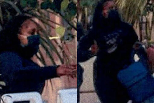California thieves swarm Louis Vuitton store, steal more than $100,000 in handbags, police say