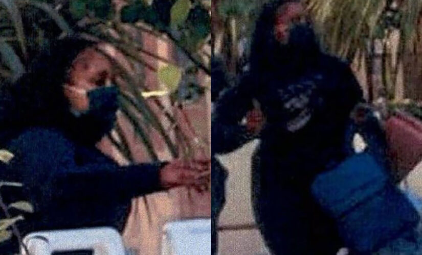 California thieves swarm Louis Vuitton store, steal more than $100,000 in handbags, police say