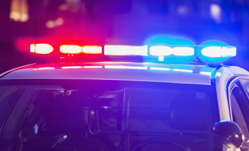 Naked intruder breaks into Los Angeles home, kills family pets: report
