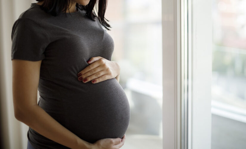Placenta may help predict pregnancy complications as early as first trimester, study finds