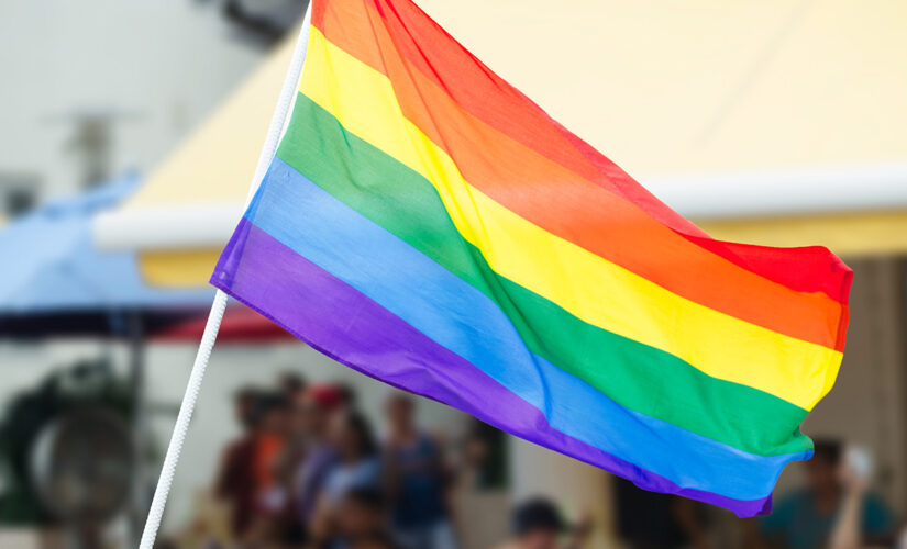 Tammy Bruce: Federal Request to fly gay pride flags at courthouses ‘reinforces tribalism’