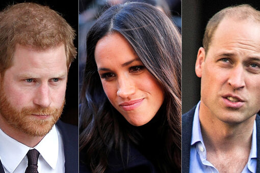 Prince William, Prince Harry had a ‘fierce and bitter’ argument over Meghan Markle after bullying claims: book