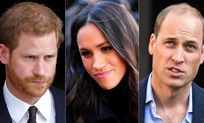 Prince William, Prince Harry had a ‘fierce and bitter’ argument over Meghan Markle after bullying claims: book