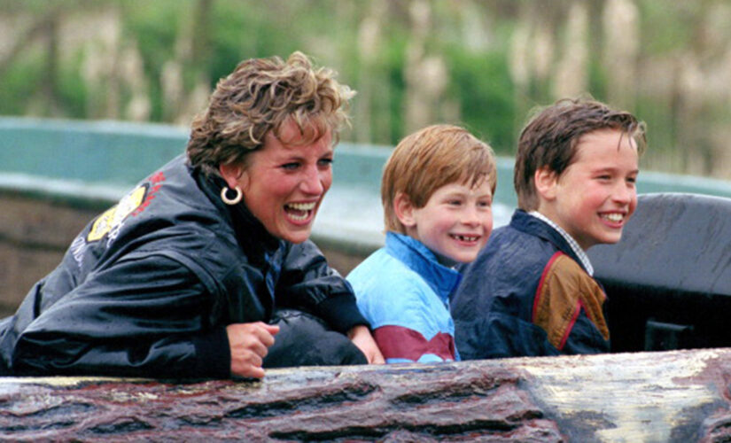 Princess Diana ‘wanted to see her boys,’ said pal about the royal’s last phone call before her tragic death