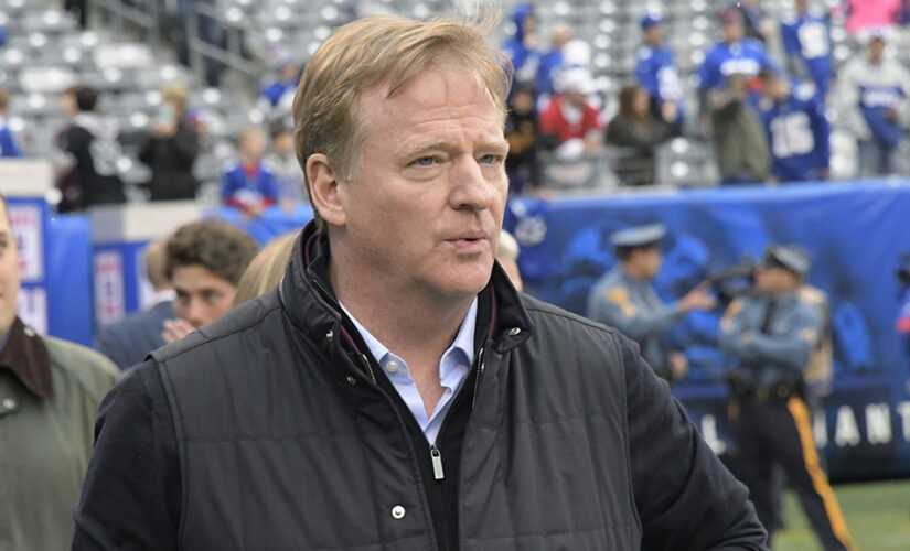 Roger Goodell on Bears’ bid for potential new stadium site: ‘We’re all looking to the long term’