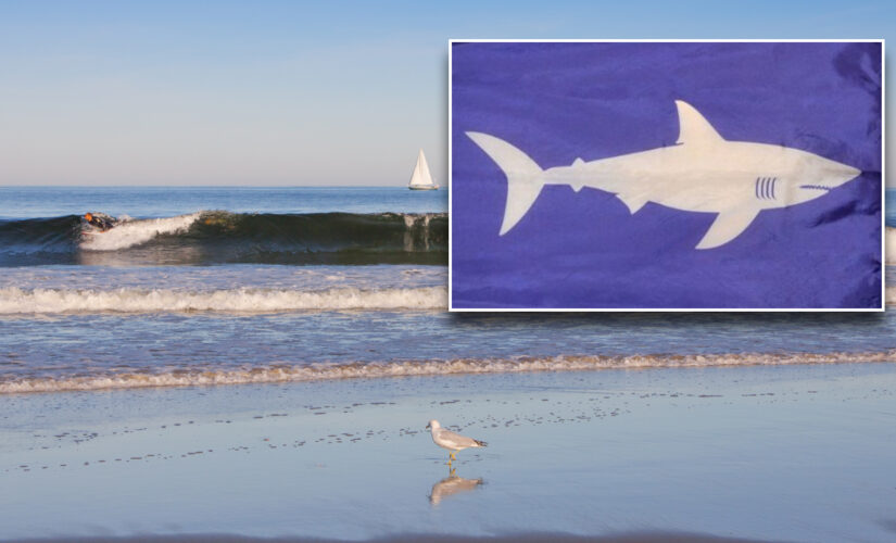 Maine beaches to hoist shark warning flags commonly used in Massachusetts