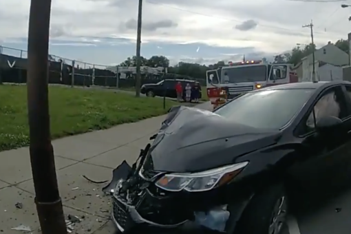 Cincinnati man crashes car after cicada ‘smacked’ him in the face