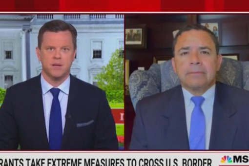 Democrat Henry Cuellar slams Biden’s handling of border crisis: ‘Doing a staged visit is not enough’