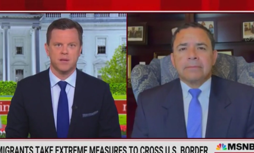 Democrat Henry Cuellar slams Biden’s handling of border crisis: ‘Doing a staged visit is not enough’