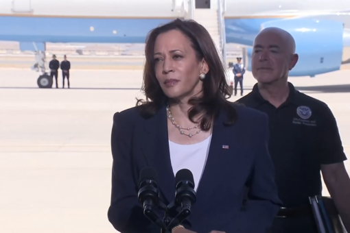 Kamala Harris ripped for blaming border crisis on Trump