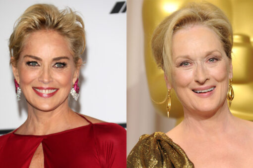 Sharon Stone slammed Meryl Streep’s icon status in resurfaced interview: Others ‘equally as talented’