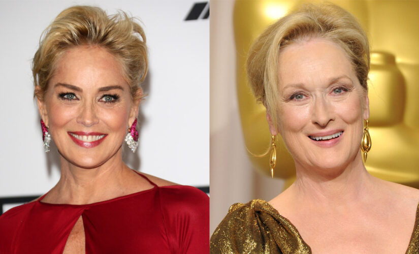 Sharon Stone slammed Meryl Streep’s icon status in resurfaced interview: Others ‘equally as talented’