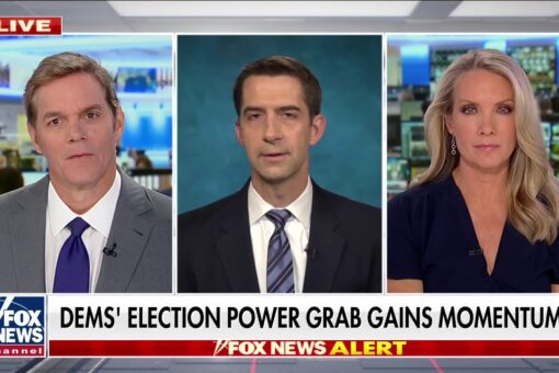 Tom Cotton: Supreme Court would strike down most of Dems’ voting bill