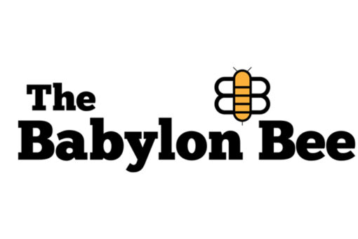 Babylon Bee CEO says satirical site ‘punching back’ against liberal media, Big Tech censorship