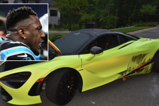 Former Panthers’ star Thomas Davis Sr. says ‘idiot’ thieves stole and wrecked luxury McLaren