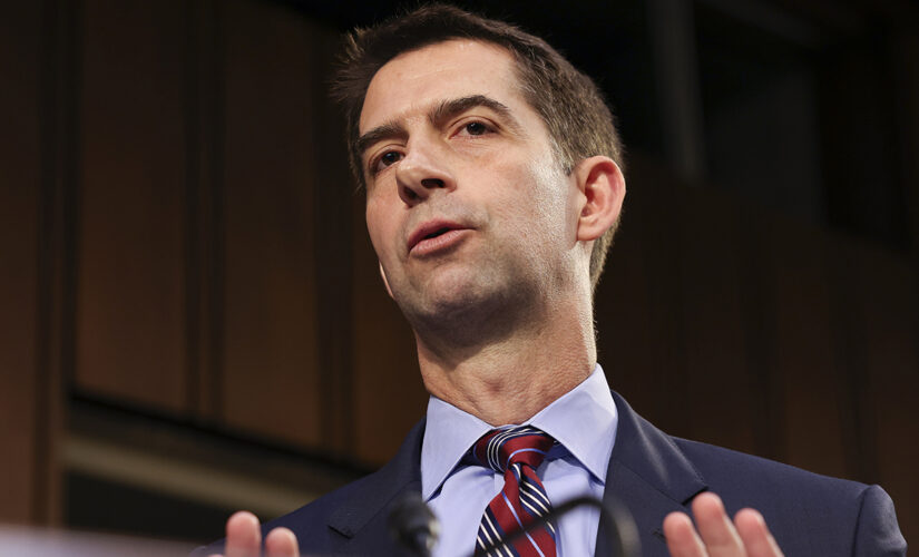 Cotton warns Beijing Olympics will pose challenges for the ‘safety, security and privacy’ of American athletes