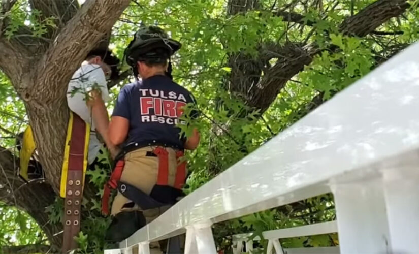 Cat owner gets stuck in tree trying to rescue pet in Oklahoma