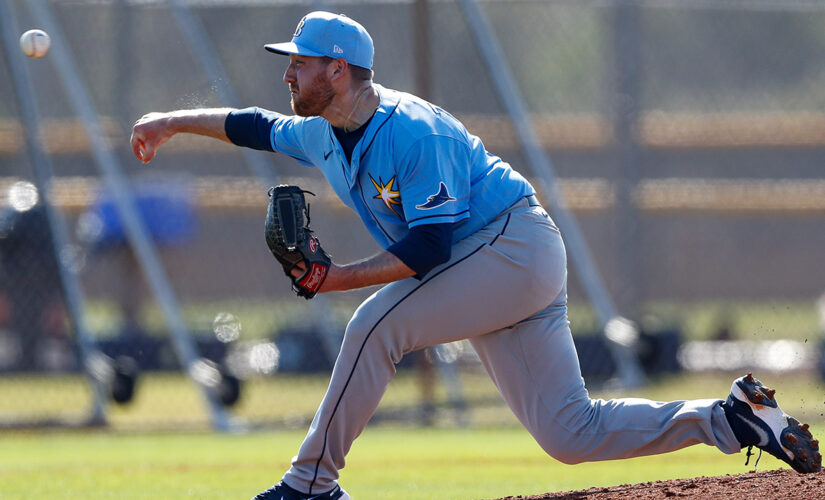 Rays pitching prospect hospitalized after line drive to the head