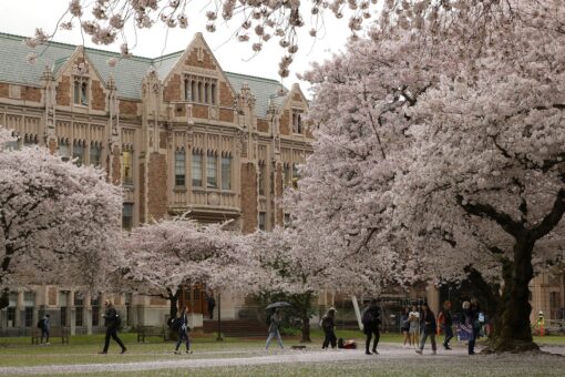 Black cops seek $8M in University of Washington racism claim