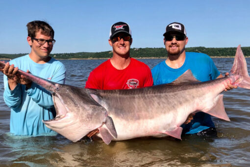 World record paddlefish caught in Oklahoma