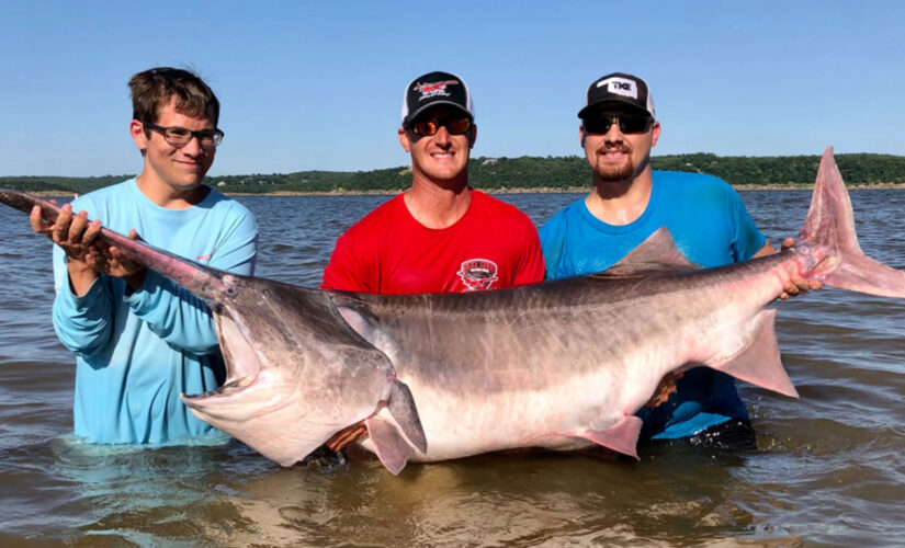 World record paddlefish caught in Oklahoma