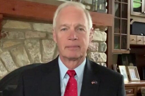 Kamala Harris’ border trip designed to keep media away from crisis areas: Sen. Johnson