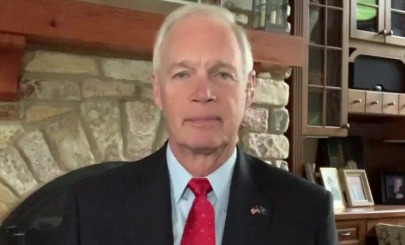 Kamala Harris’ border trip designed to keep media away from crisis areas: Sen. Johnson