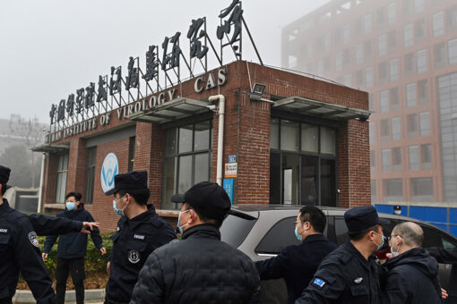 Live bats at Wuhan lab ‘not a conspiracy’ but ‘fact’ Sky News Australia journalist claims
