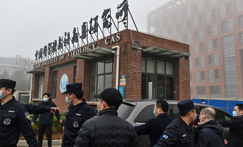 Live bats at Wuhan lab ‘not a conspiracy’ but ‘fact’ Sky News Australia journalist claims