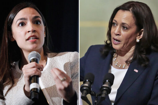 AOC calls out Harris for her remarks on immigration, telling migrants ‘do not come’