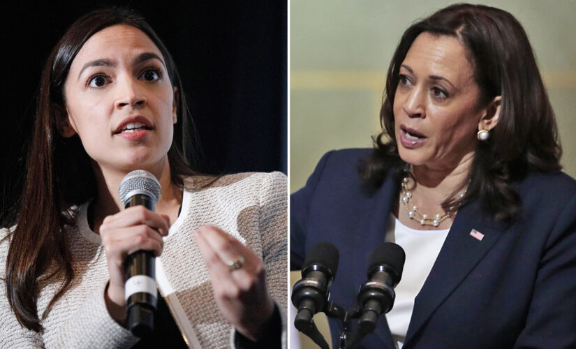 AOC calls out Harris for her remarks on immigration, telling migrants ‘do not come’