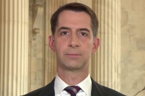 Sen. Cotton rails Navy officer’s reading list: Sailors should focus on ‘fighting real wars’, not culture wars