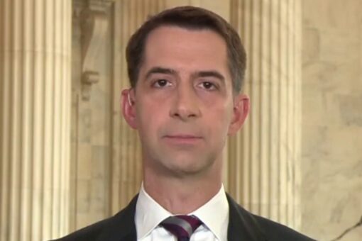 Sen. Cotton rails Navy officer’s reading list: Sailors should focus on ‘fighting real wars’, not culture wars