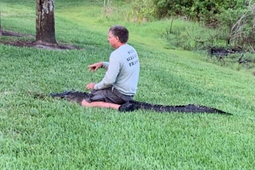 Florida woman attacked by 7-foot alligator while walking her dog