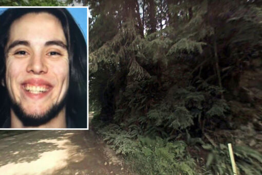 Missing Washington state hiker found alive after 8 days in wilderness, authorities says
