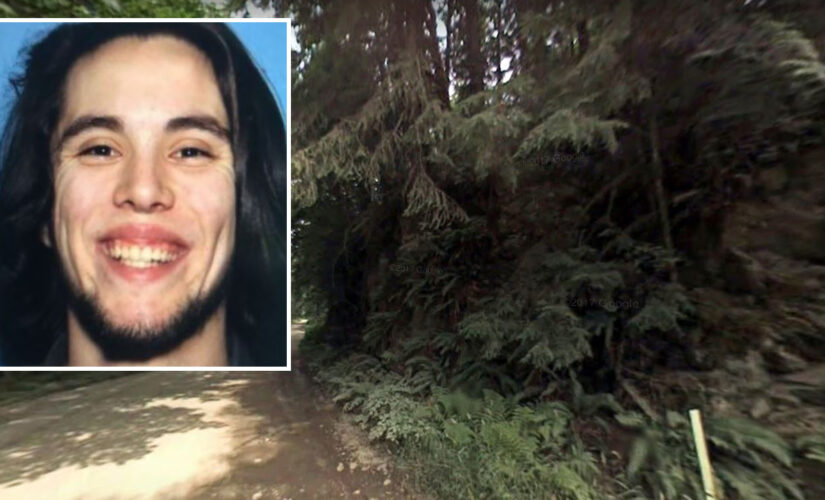 Missing Washington state hiker found alive after 8 days in wilderness, authorities says