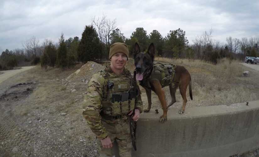 ‘Hero Dogs’: Bullet-dodging canine protects entire Military team in Afghanistan