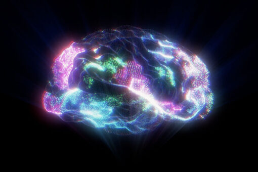 Study unpacks how LSD lowers brain’s barriers