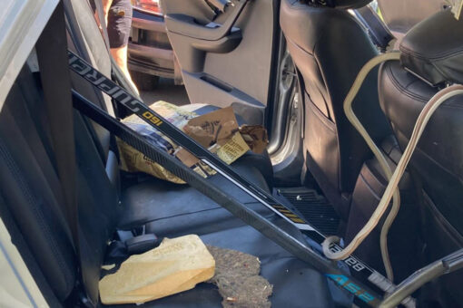 Bear tears up car, leaves beer cans unopened after getting trapped inside vehicle in Colorado