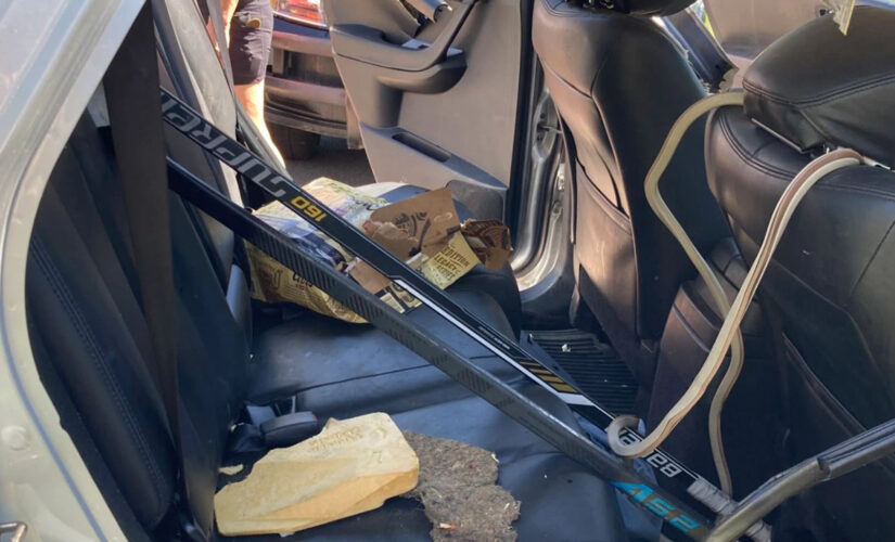 Bear tears up car, leaves beer cans unopened after getting trapped inside vehicle in Colorado