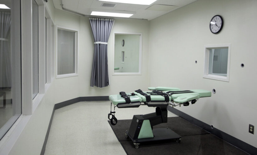 2 South Carolina executions halted until firing squad formed