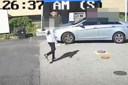Maryland carjacking video shows DC teens hijack vehicle at gas station with 2-year-old girl in back seat