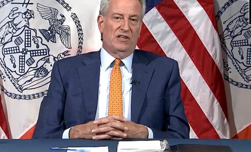 In wake of Lisa Banes’ death, Bill de Blasio calls for more e-scooters, e-bikes regulations