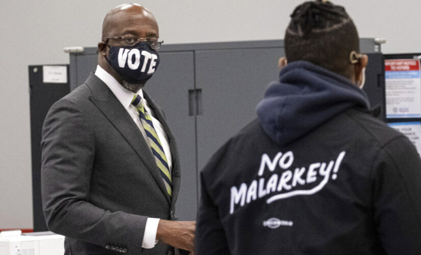 Dem Senator says no one opposes voter ID despite mainstream media coverage calling it ‘racist’