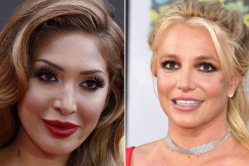 Farrah Abraham condemns Britney Spears’ past mistreatment as young mom in public eye: ‘She was targeted’