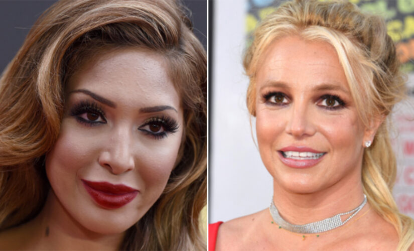 Farrah Abraham condemns Britney Spears’ past mistreatment as young mom in public eye: ‘She was targeted’