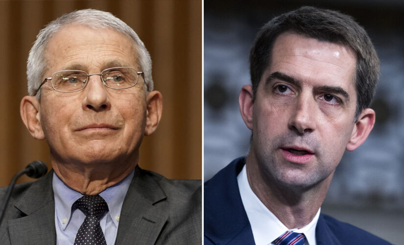 Tom Cotton: Fauci now acting like a Democrat ‘activist,’ not a scientist or doctor